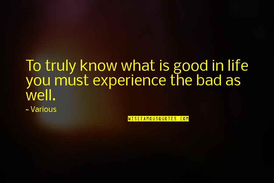 Thoughtful Life Quotes By Various: To truly know what is good in life