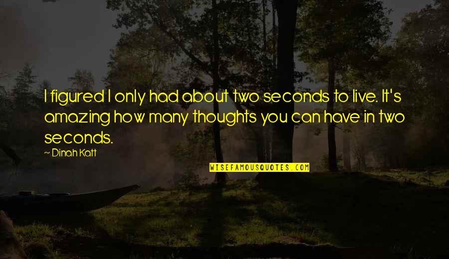 Thoughts About You Quotes By Dinah Katt: I figured I only had about two seconds