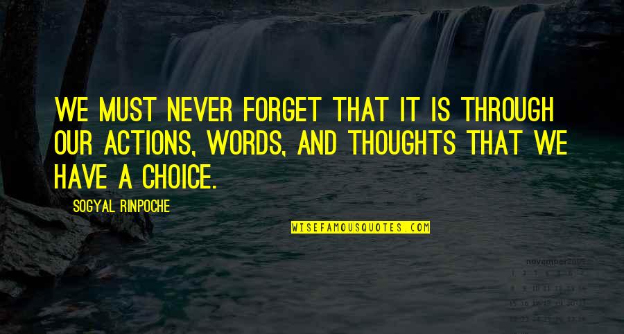 Thoughts And Actions Quotes By Sogyal Rinpoche: We must never forget that it is through