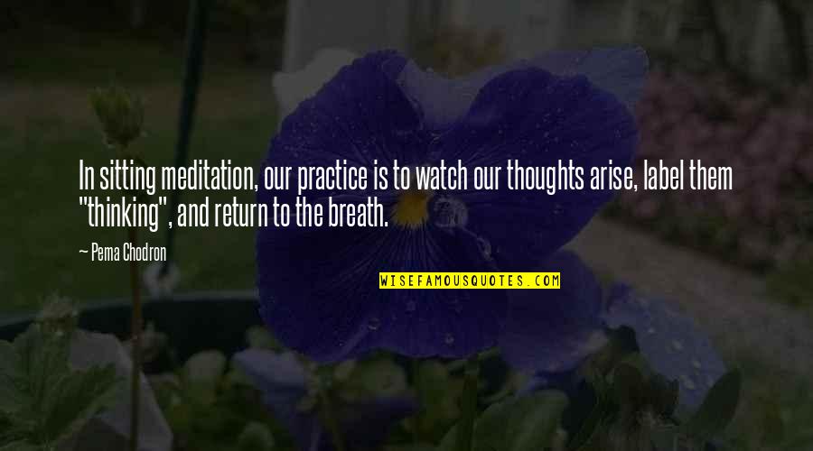 Thoughts And Thinking Quotes By Pema Chodron: In sitting meditation, our practice is to watch