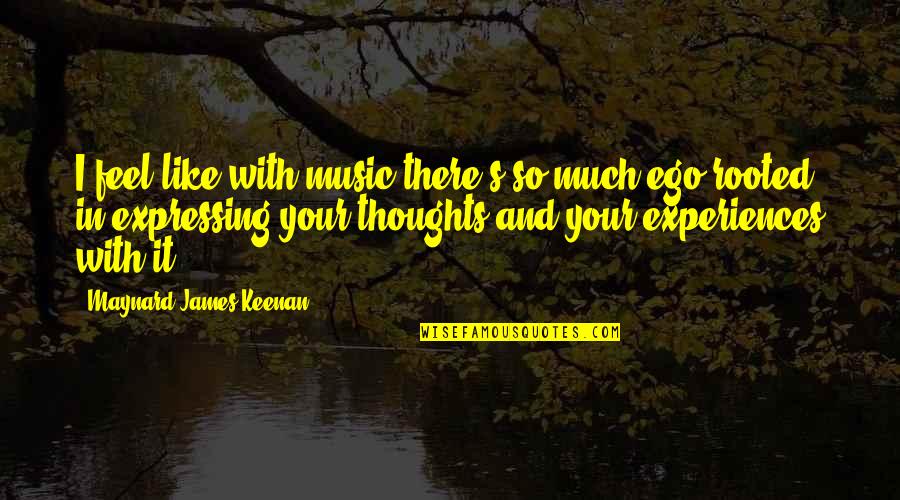 Thoughts Are The Music Quotes By Maynard James Keenan: I feel like with music there's so much