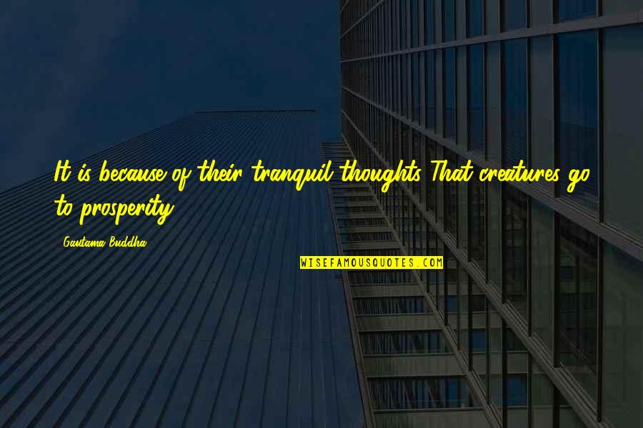 Thoughts Buddha Quotes By Gautama Buddha: It is because of their tranquil thoughts That