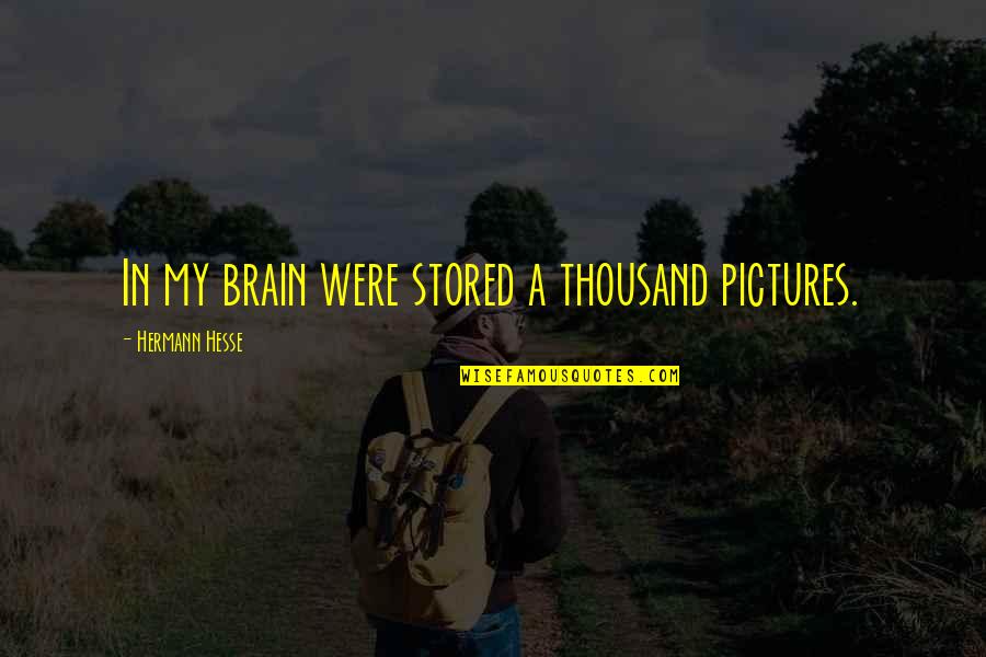 Thoughts Of The Mind Life Quotes By Hermann Hesse: In my brain were stored a thousand pictures. Thoughts Of The Mind Life Quotes By Hermann Hesse: In my brain were stored a thousand pictures.