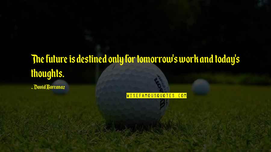 Thoughts Of You Today Quotes By David Boreanaz: The future is destined only for tomorrow's work