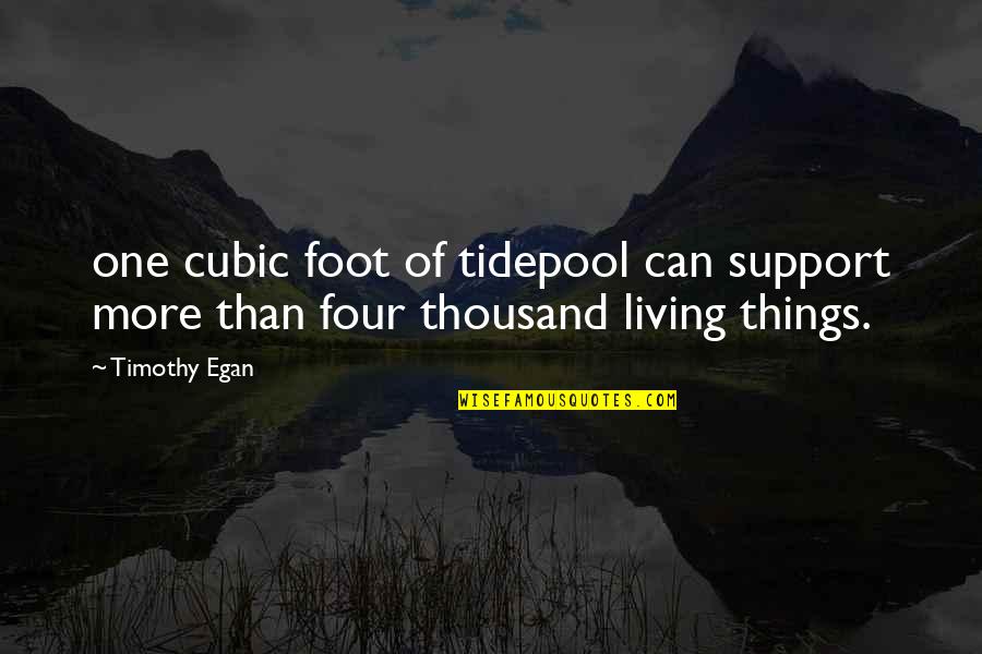 Thousand Foot Quotes By Timothy Egan: one cubic foot of tidepool can support more