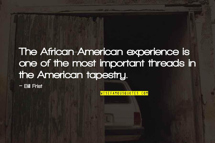 Threads Quotes By Bill Frist: The African-American experience is one of the most