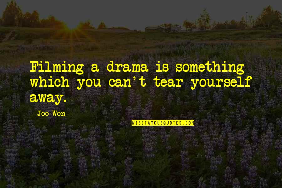 Three Days Grace Inspirational Quotes By Joo Won: Filming a drama is something which you can't