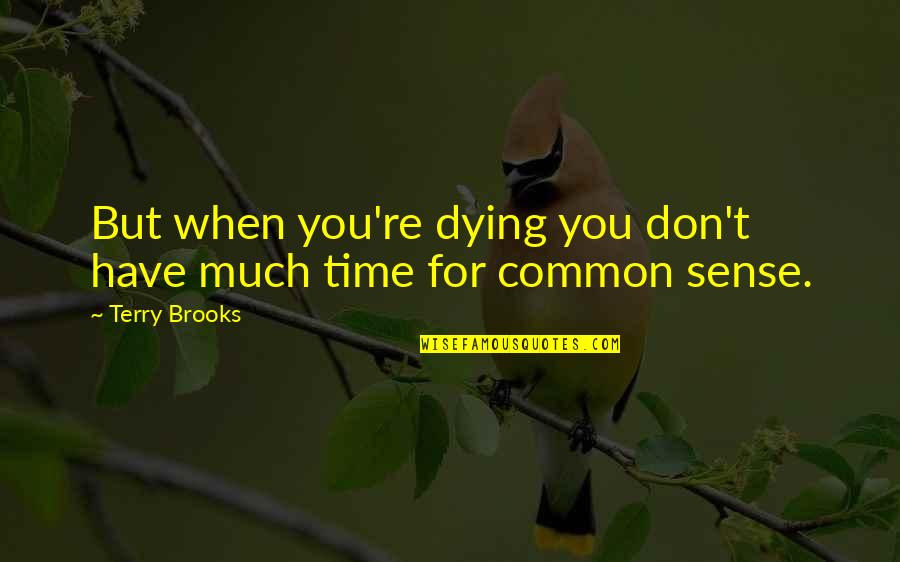 Three Flavours Cornetto Trilogy Quotes By Terry Brooks: But when you're dying you don't have much
