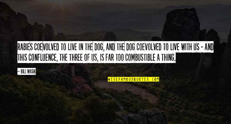 Three In Quotes By Bill Wasik: Rabies coevolved to live in the dog, and