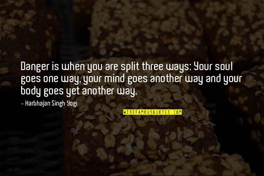 Three Way Quotes By Harbhajan Singh Yogi: Danger is when you are split three ways: