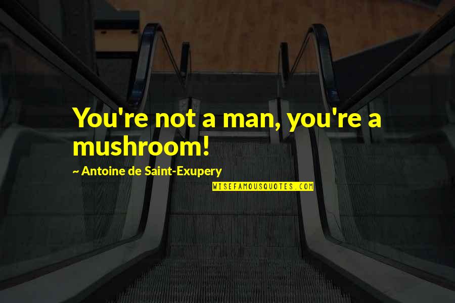 Thrifting Clothes Quotes By Antoine De Saint-Exupery: You're not a man, you're a mushroom! Thrifting Clothes Quotes By Antoine De Saint-Exupery: You're not a man, you're a mushroom!
