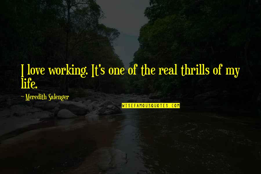 Thrills Of Life Quotes By Meredith Salenger: I love working. It's one of the real