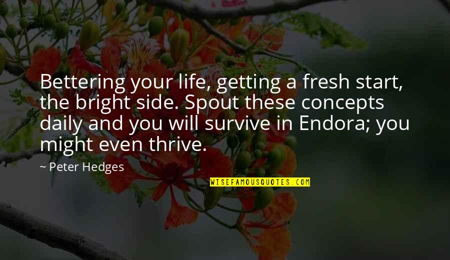 Thrive And Survive Quotes By Peter Hedges: Bettering your life, getting a fresh start, the