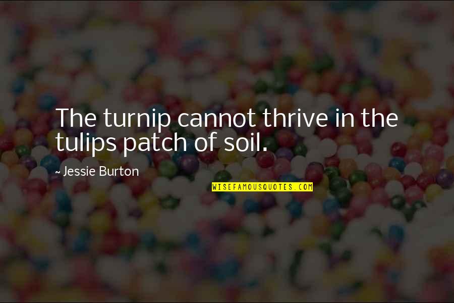 Thrive For More Quotes By Jessie Burton: The turnip cannot thrive in the tulips patch Thrive For More Quotes By Jessie Burton: The turnip cannot thrive in the tulips patch