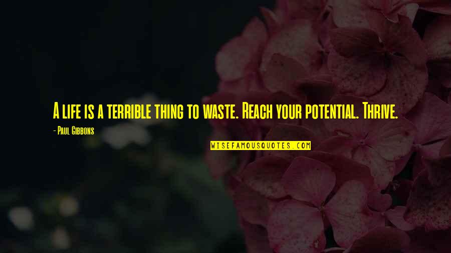 Thrive In Life Quotes By Paul Gibbons: A life is a terrible thing to waste.