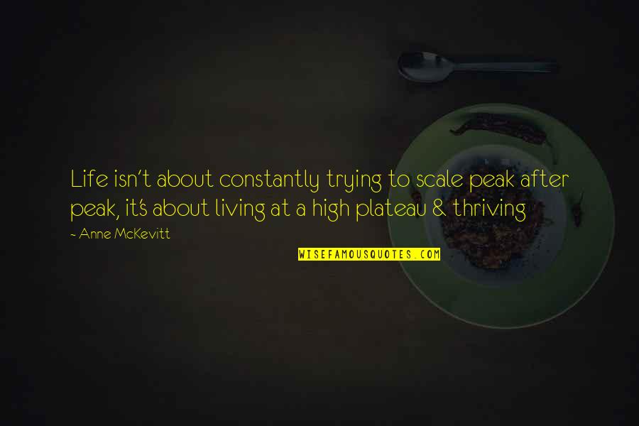 Thriving In Life Quotes By Anne McKevitt: Life isn't about constantly trying to scale peak