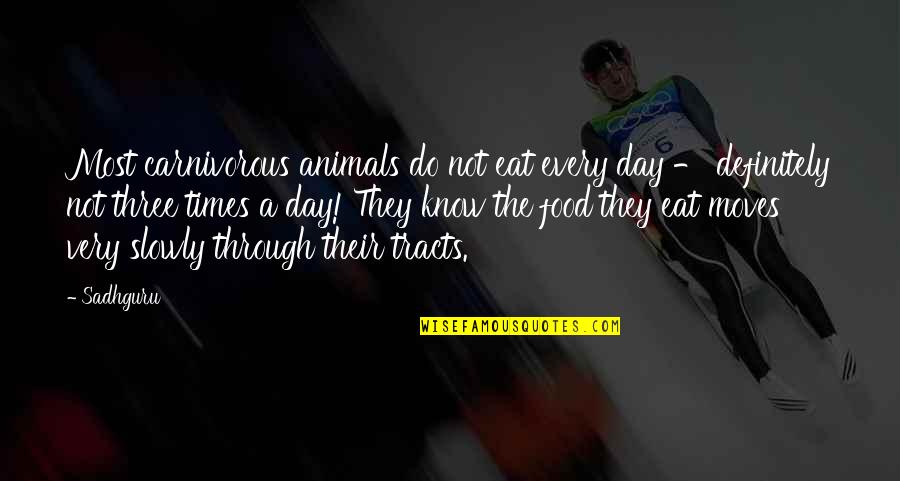 Through The Day Quotes By Sadhguru: Most carnivorous animals do not eat every day