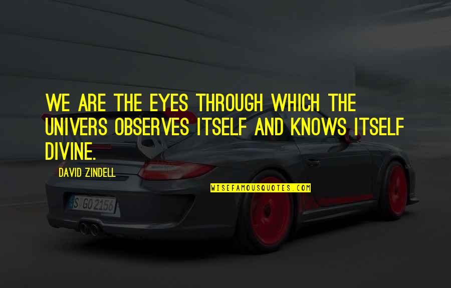 Through The Eyes Quotes By David Zindell: We are the eyes through which the Univers