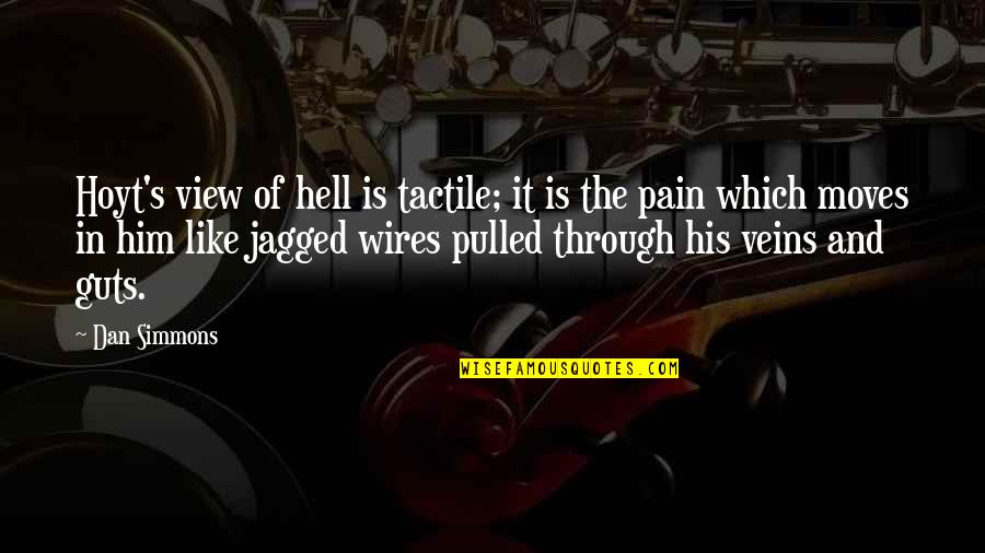 Through The Pain Quotes By Dan Simmons: Hoyt's view of hell is tactile; it is