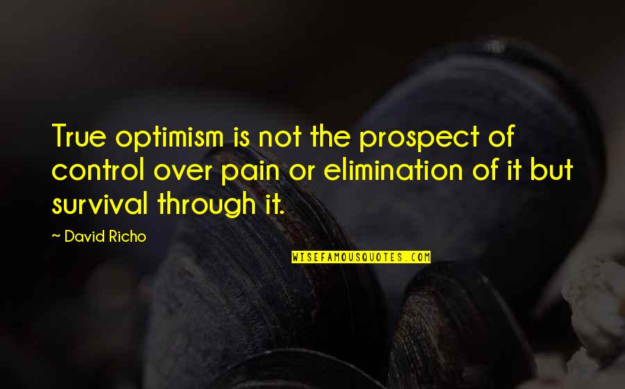 Through The Pain Quotes By David Richo: True optimism is not the prospect of control