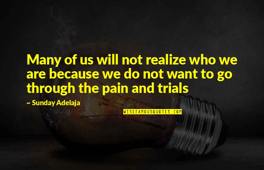 Through The Pain Quotes By Sunday Adelaja: Many of us will not realize who we
