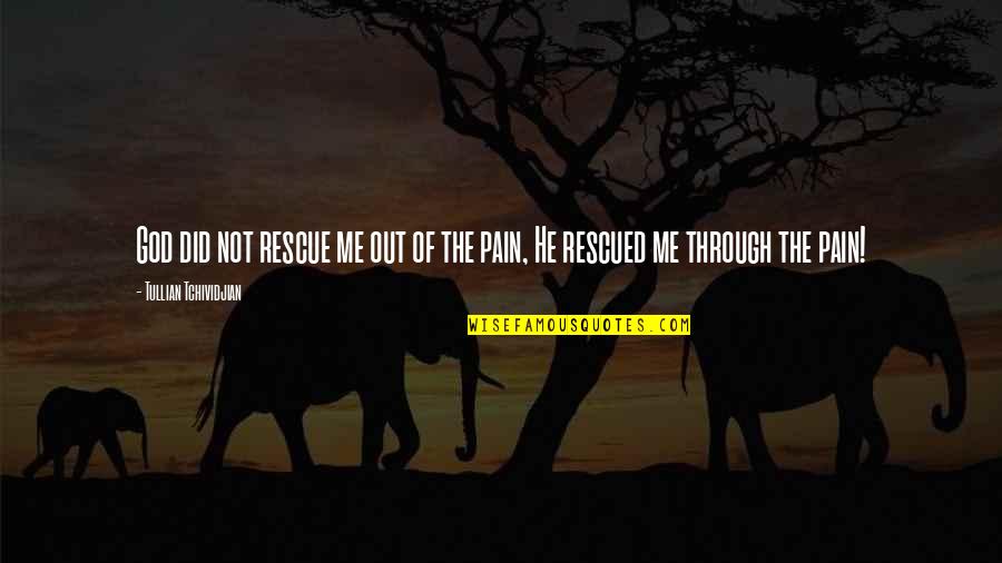 Through The Pain Quotes By Tullian Tchividjian: God did not rescue me out of the