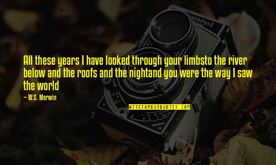 Through These Years Quotes By W.S. Merwin: All these years I have looked through your