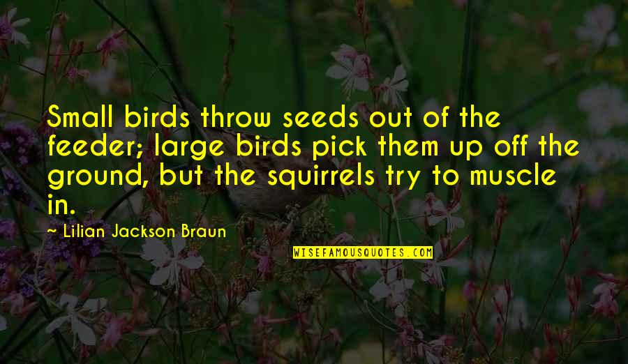 Throw Up Quotes By Lilian Jackson Braun: Small birds throw seeds out of the feeder;