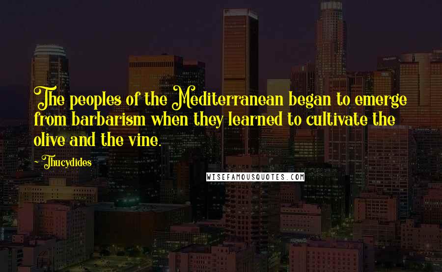 Thucydides quotes: The peoples of the Mediterranean began to emerge from barbarism when they learned to cultivate the olive and the vine.