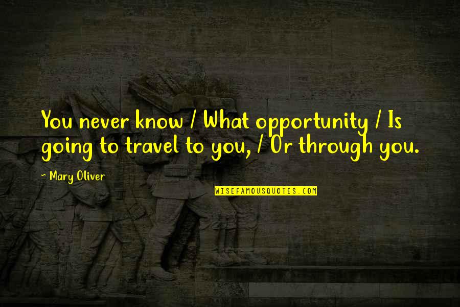 Thud Quotes By Mary Oliver: You never know / What opportunity / Is