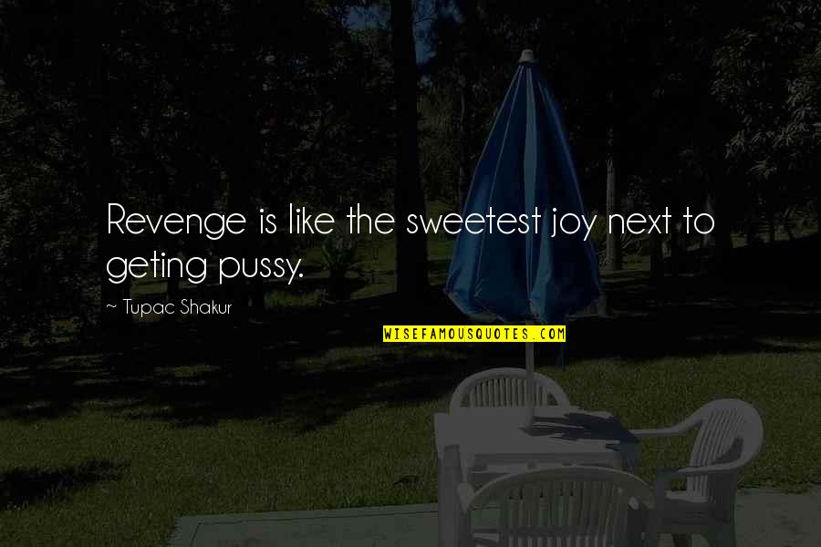 Thug Quotes By Tupac Shakur: Revenge is like the sweetest joy next to