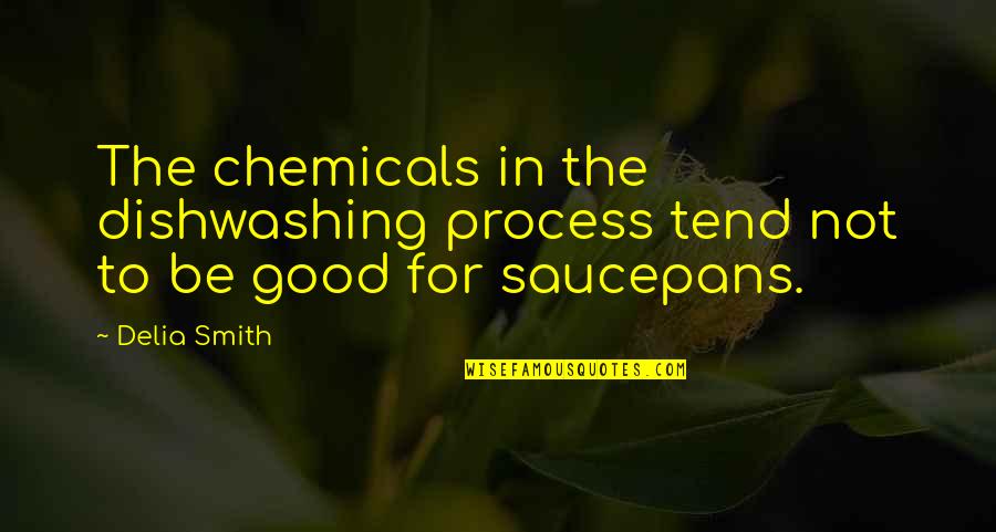 Thugga Channel Quotes By Delia Smith: The chemicals in the dishwashing process tend not