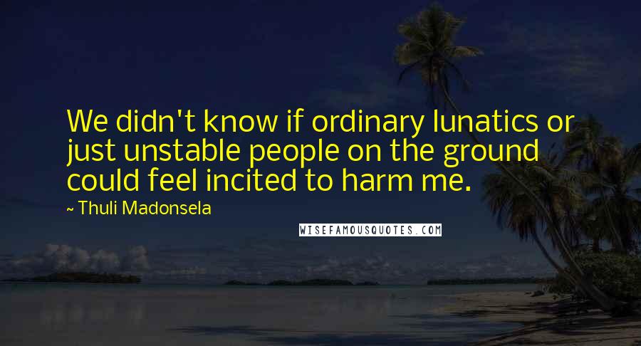 Thuli Madonsela quotes: We didn't know if ordinary lunatics or just unstable people on the ground could feel incited to harm me.