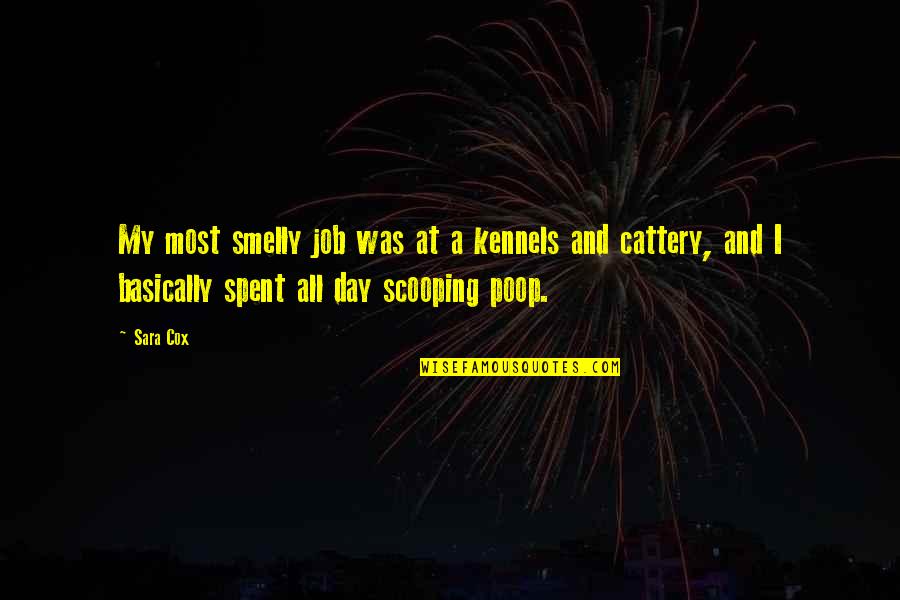 Thumper Racing Quotes By Sara Cox: My most smelly job was at a kennels Thumper Racing Quotes By Sara Cox: My most smelly job was at a kennels