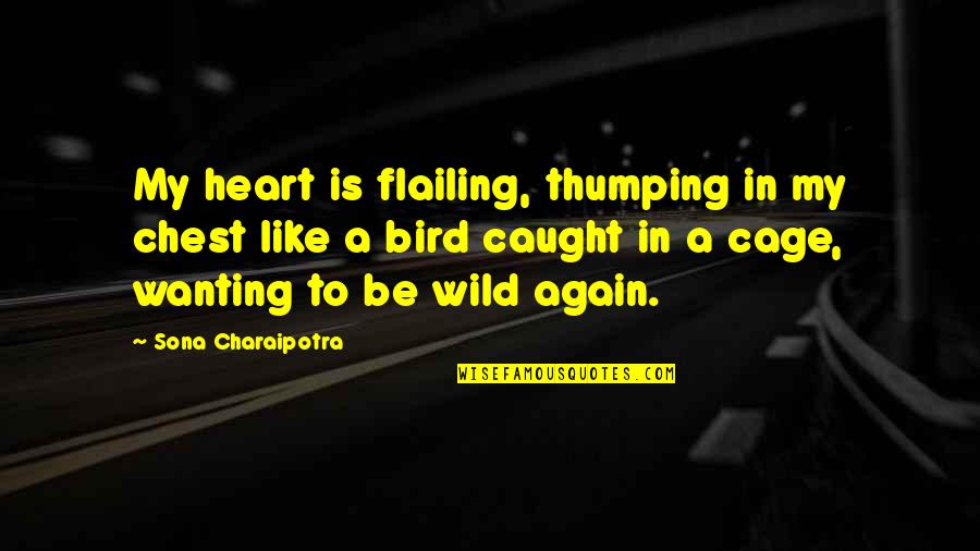 Thumping In Chest Quotes By Sona Charaipotra: My heart is flailing, thumping in my chest