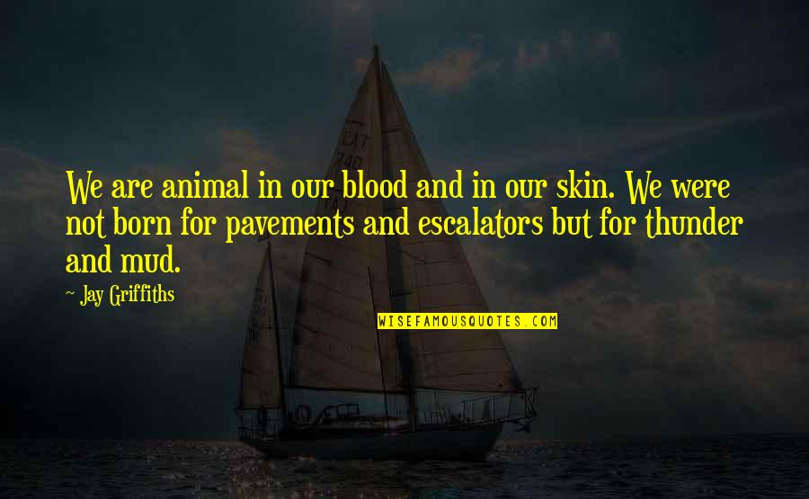 Thunder Blood Quotes By Jay Griffiths: We are animal in our blood and in Thunder Blood Quotes By Jay Griffiths: We are animal in our blood and in