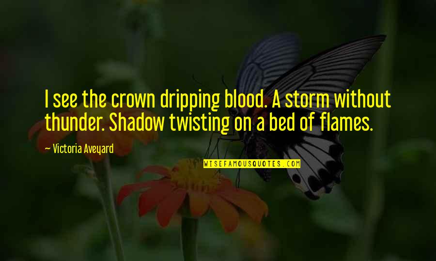 Thunder Blood Quotes By Victoria Aveyard: I see the crown dripping blood. A storm Thunder Blood Quotes By Victoria Aveyard: I see the crown dripping blood. A storm