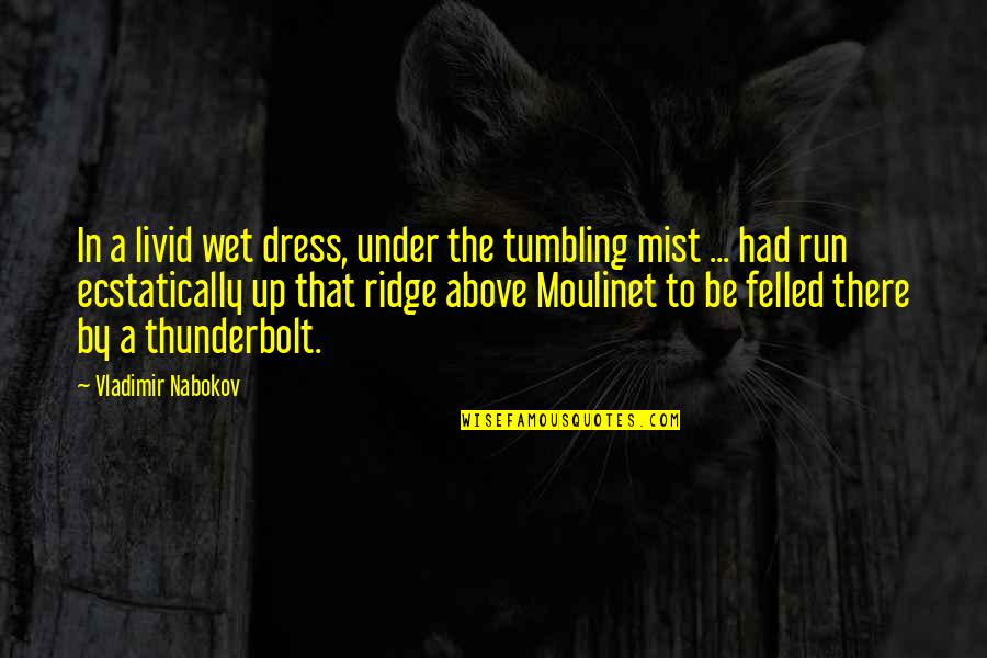 Thunderbolt Quotes By Vladimir Nabokov: In a livid wet dress, under the tumbling