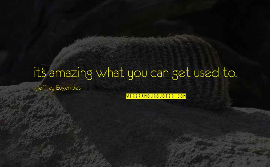 Thunderdome Lazarbeam Quotes By Jeffrey Eugenides: it's amazing what you can get used to. Thunderdome Lazarbeam Quotes By Jeffrey Eugenides: it's amazing what you can get used to.