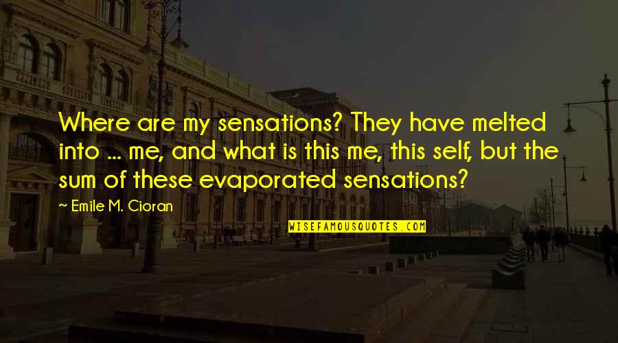 Thunderers Quotes By Emile M. Cioran: Where are my sensations? They have melted into Thunderers Quotes By Emile M. Cioran: Where are my sensations? They have melted into