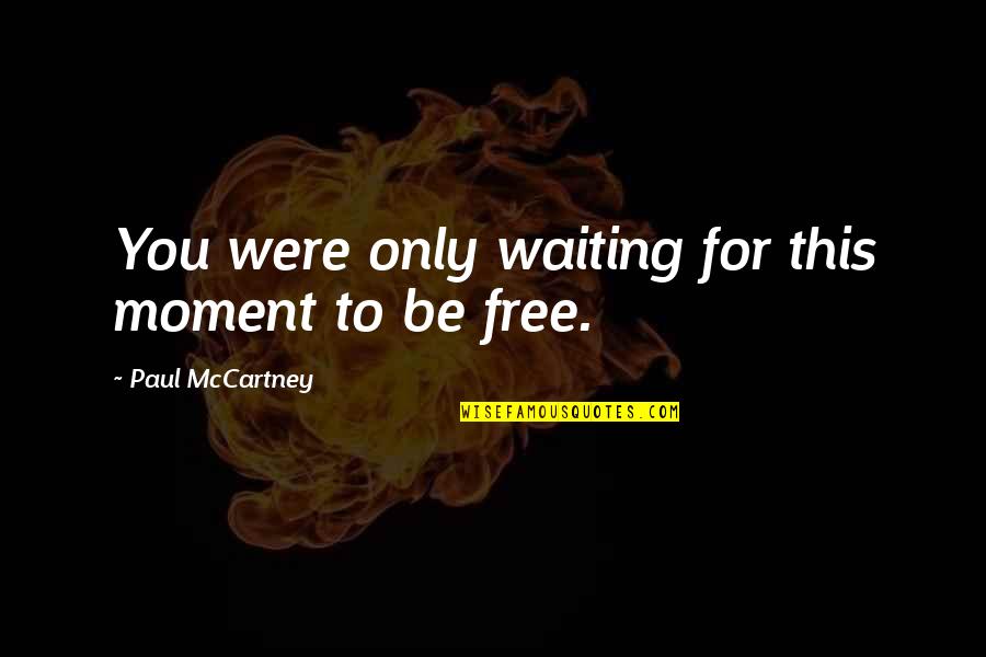 Thundering Sound Quotes By Paul McCartney: You were only waiting for this moment to