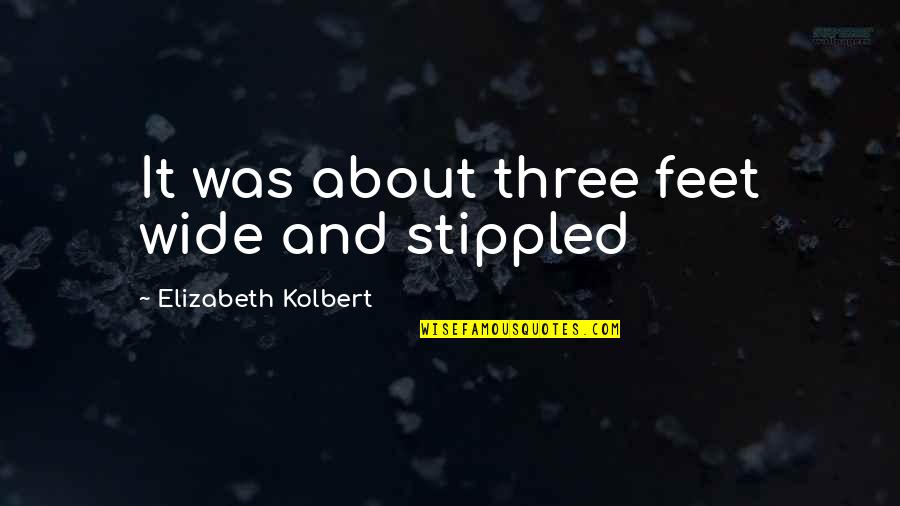 Thuraya Quotes By Elizabeth Kolbert: It was about three feet wide and stippled