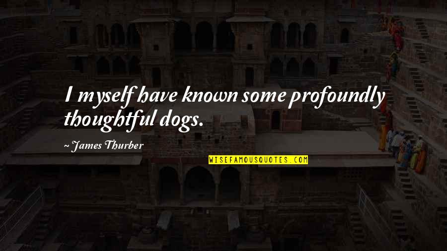 Thurber's Quotes By James Thurber: I myself have known some profoundly thoughtful dogs.