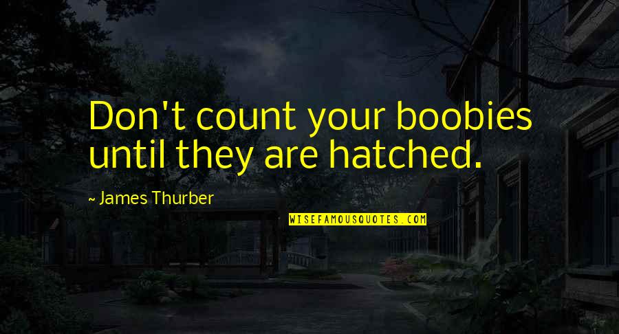 Thurber's Quotes By James Thurber: Don't count your boobies until they are hatched.