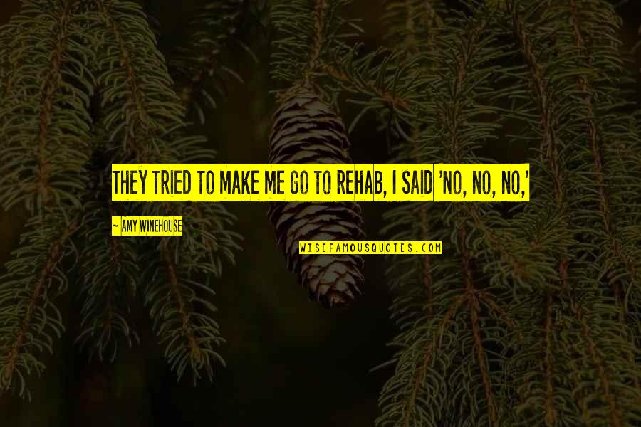 Thurley Quotes By Amy Winehouse: They tried to make me go to rehab, Thurley Quotes By Amy Winehouse: They tried to make me go to rehab,