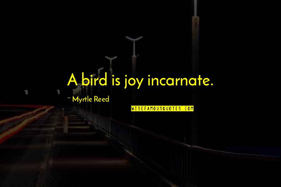 Thursday Goodreads Quotes By Myrtle Reed: A bird is joy incarnate.