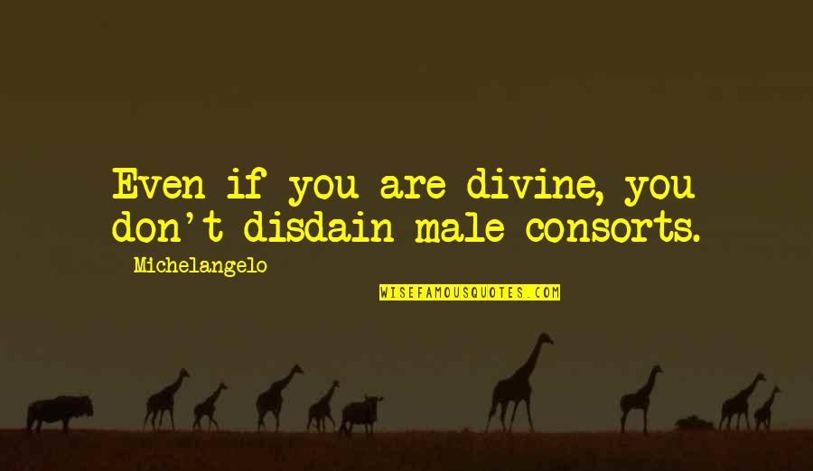 Thursday Throne Quotes By Michelangelo: Even if you are divine, you don't disdain