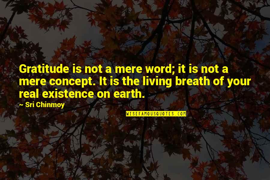 Thursfields Quotes By Sri Chinmoy: Gratitude is not a mere word; it is