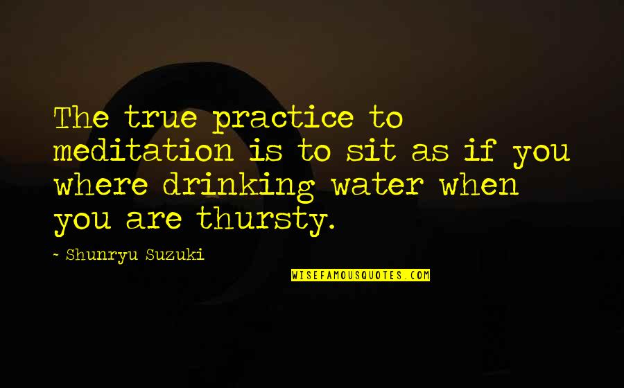 Thursty Quotes By Shunryu Suzuki: The true practice to meditation is to sit