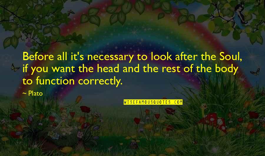 Thusendent Quotes By Plato: Before all it's necessary to look after the